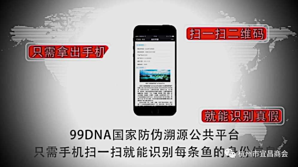 89aebc6ed6f9d26c9688324cc4780fb6.png
